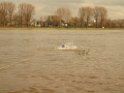 Bergung PKW im Rhein Hitdorfer Fähre P189624